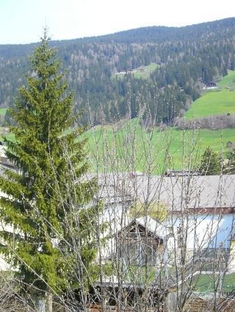 Haus Milli Apartment San Candido Exterior photo